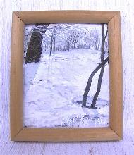 Spuren im Wald